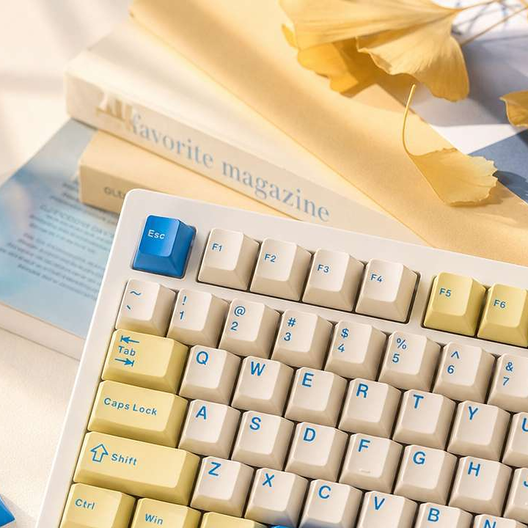 Maple Keycap Set, a close-up of the keycap surface
